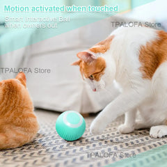 Self-moving Kitten Toys